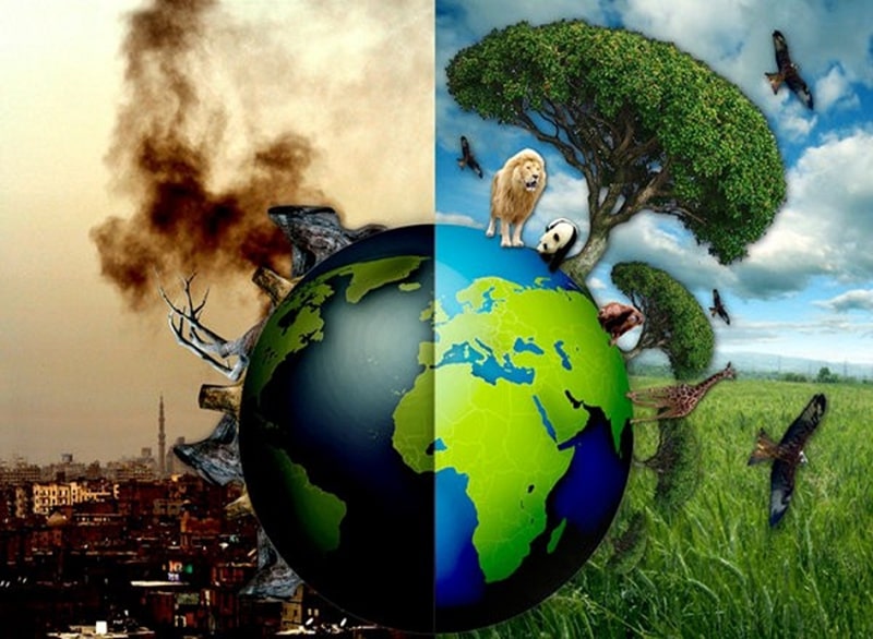 chủ đề ngày môi trường thế giới năm 2016
